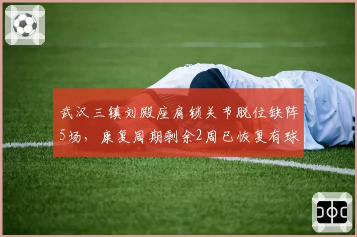 武汉三镇刘殿座肩锁关节脱位缺阵5场,康复周期剩余2周已恢复有球训练