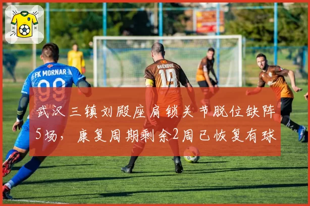 武汉三镇刘殿座肩锁关节脱位缺阵5场，康复周期剩余2周已恢复有球训练