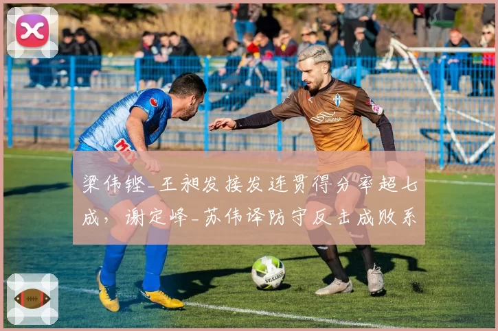 梁伟铿_王昶发接发连贯得分率超七成，谢定峰_苏伟译防守反击成败系于网前__br_