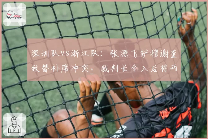 深圳队vs浙江队:张源飞铲穆谢奎致替补席冲突,裁判长介入后将两人直接罚下