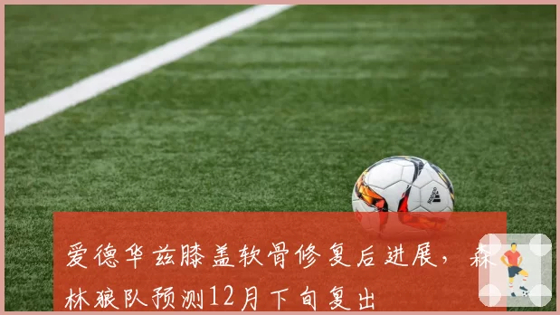 爱德华兹膝盖软骨修复后进展,森林狼队预测12月下旬复出