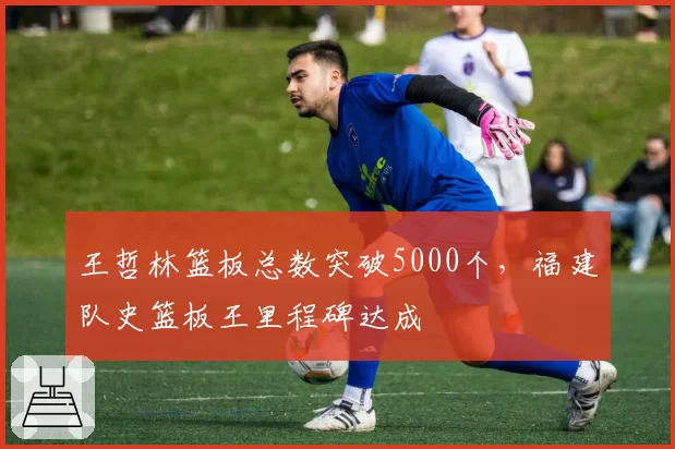 王哲林篮板总数突破5000个，福建队史篮板王里程碑达成