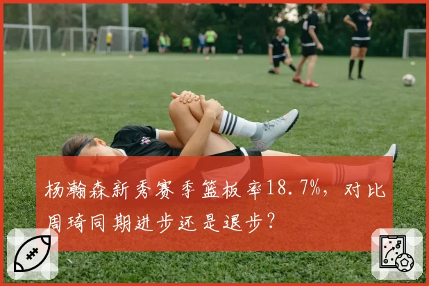 杨瀚森新秀赛季篮板率18.7%，对比周琦同期进步还是退步？