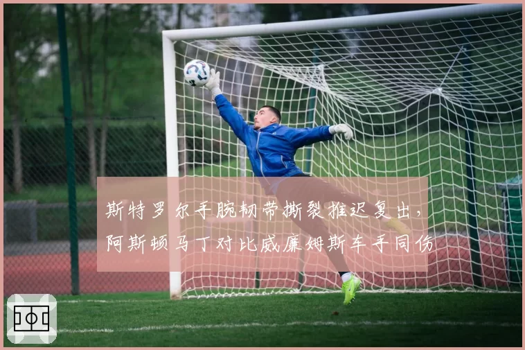 斯特罗尔手腕韧带撕裂推迟复出，阿斯顿马丁对比威廉姆斯车手同伤速归凸显理念分歧__br_