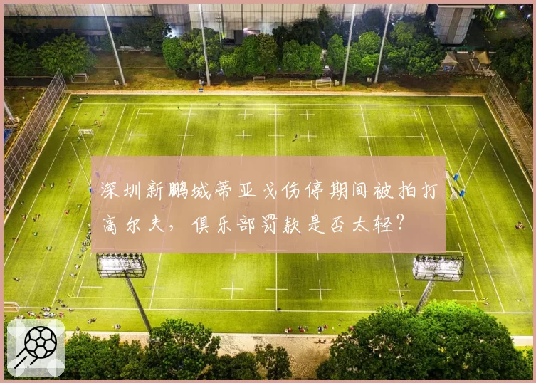 深圳新鹏城蒂亚戈伤停期间被拍打高尔夫,俱乐部罚款是否太轻?